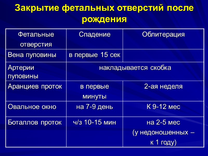 Закрытие фетальных отверстий после рождения